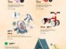 Catalogue Jouets Sajou Noël 2023